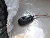 Daewoo Novus 11.5 � 2012